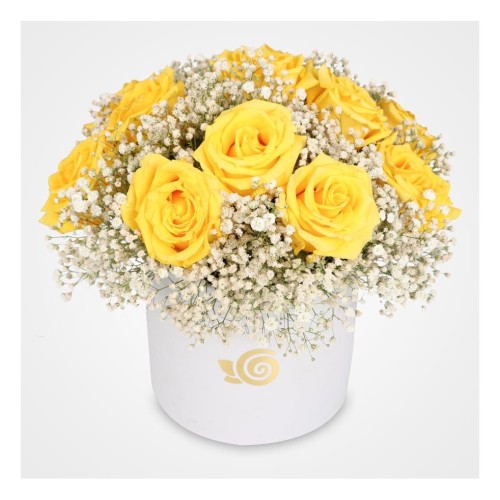 Rona Roses Flower Box